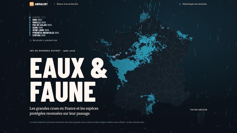 Eaux & Faune - Site internet
