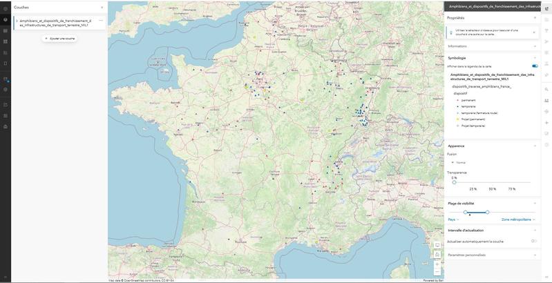 Amphibiens et dispositifs de franchissement des infrastructures de transports terrestres